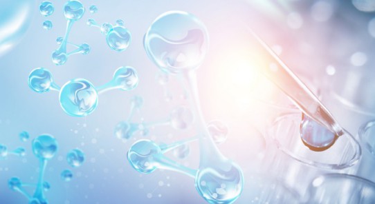 k8凯发(中国)天生赢家·一触即发