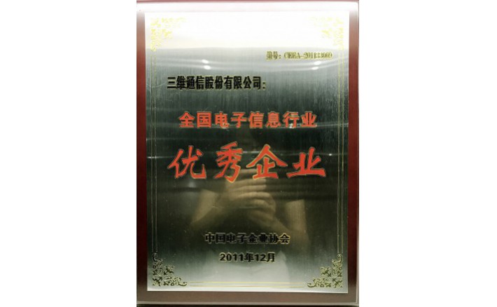 国度级电子信息行业优良企业