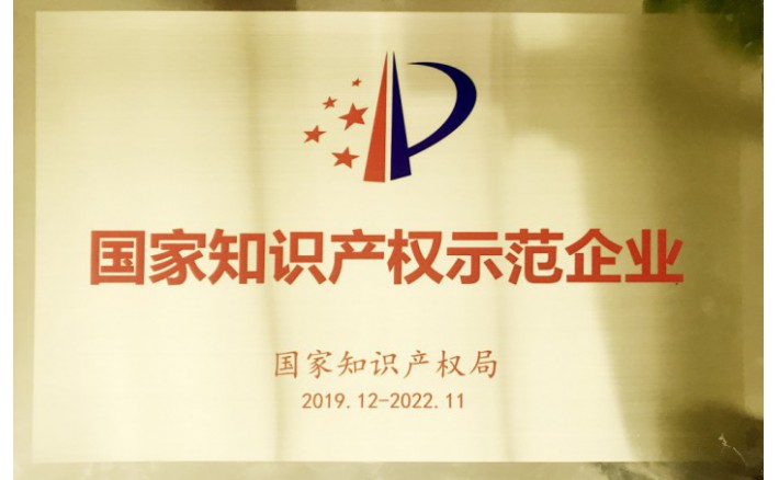 国度知识产权示范企业