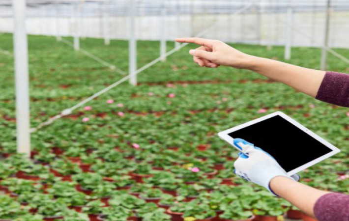 k8凯发(中国)天生赢家·一触即发